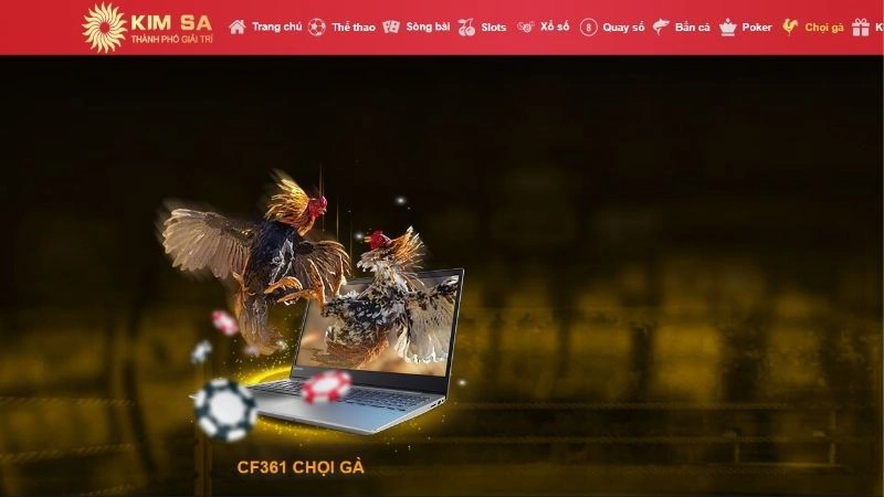 Về sảnh đá gà tại Kimsa