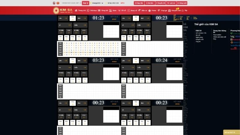 Giới thiệu về sứ mệnh tại Kimsa
