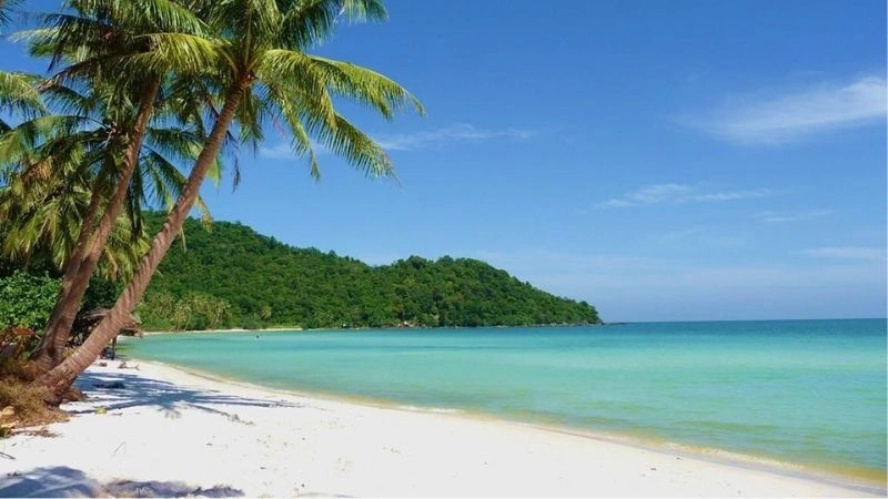 Giấc mơ thấy nước và những điều bạn nên biết